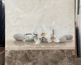 Gạch ốp tường 30x60 giá rẻ đa dạng màu sắc