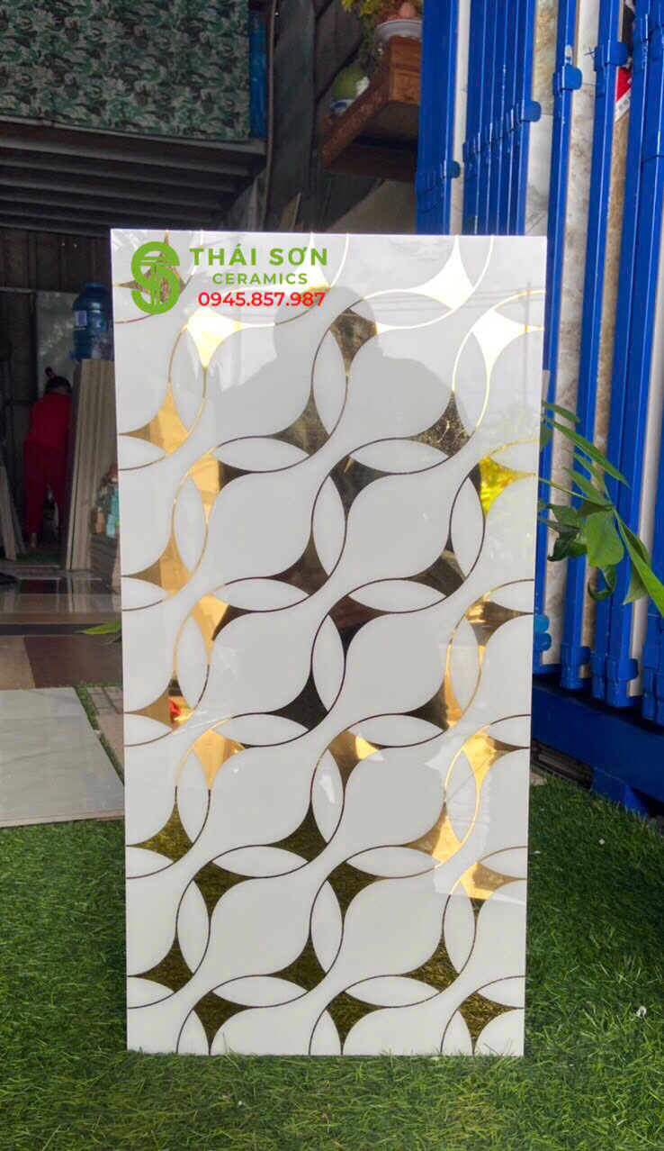 gạch điểm 30x60