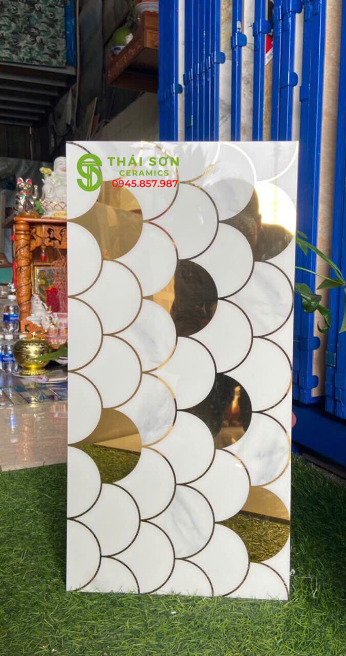 gạch điểm 30x60