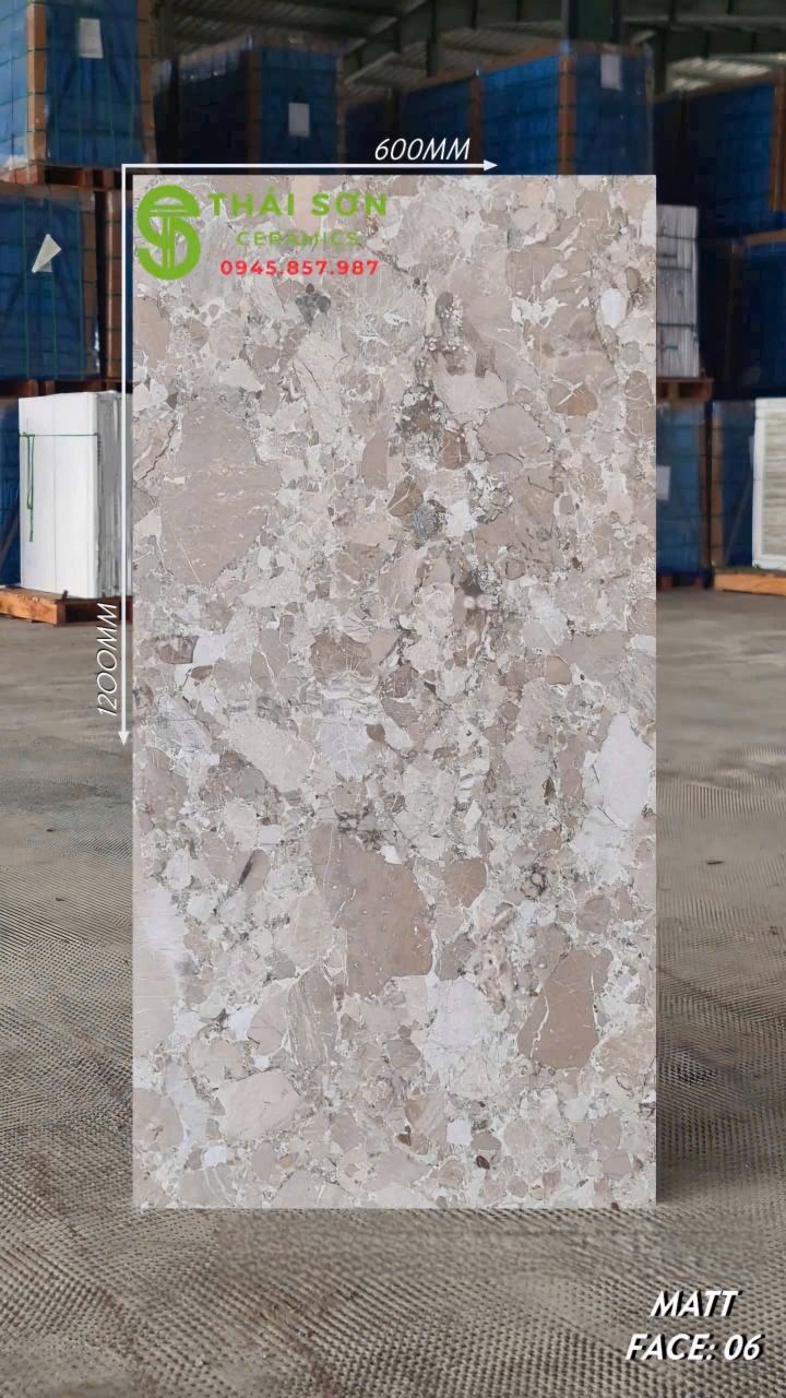 Gạch đá mài vân terrazzo 60x120 matt mờ ấn độ