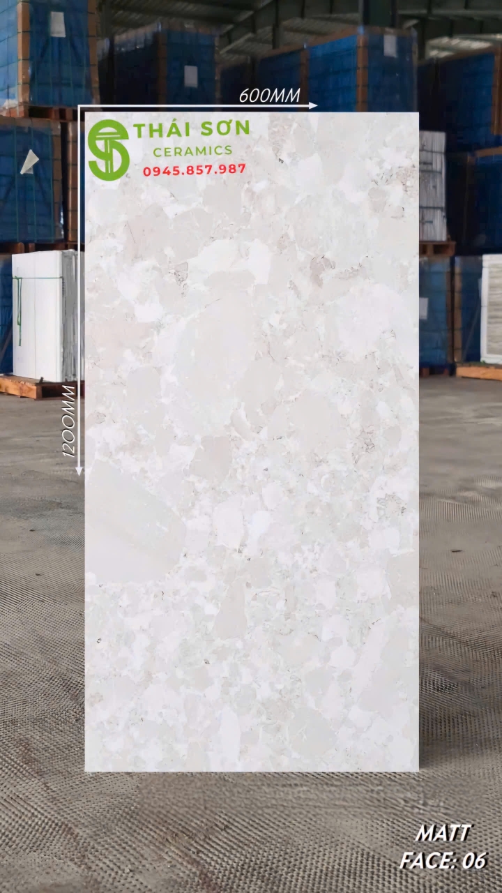 Gạch ấn độ 60x120 lát nền đá mài terrazzo giá rẻ