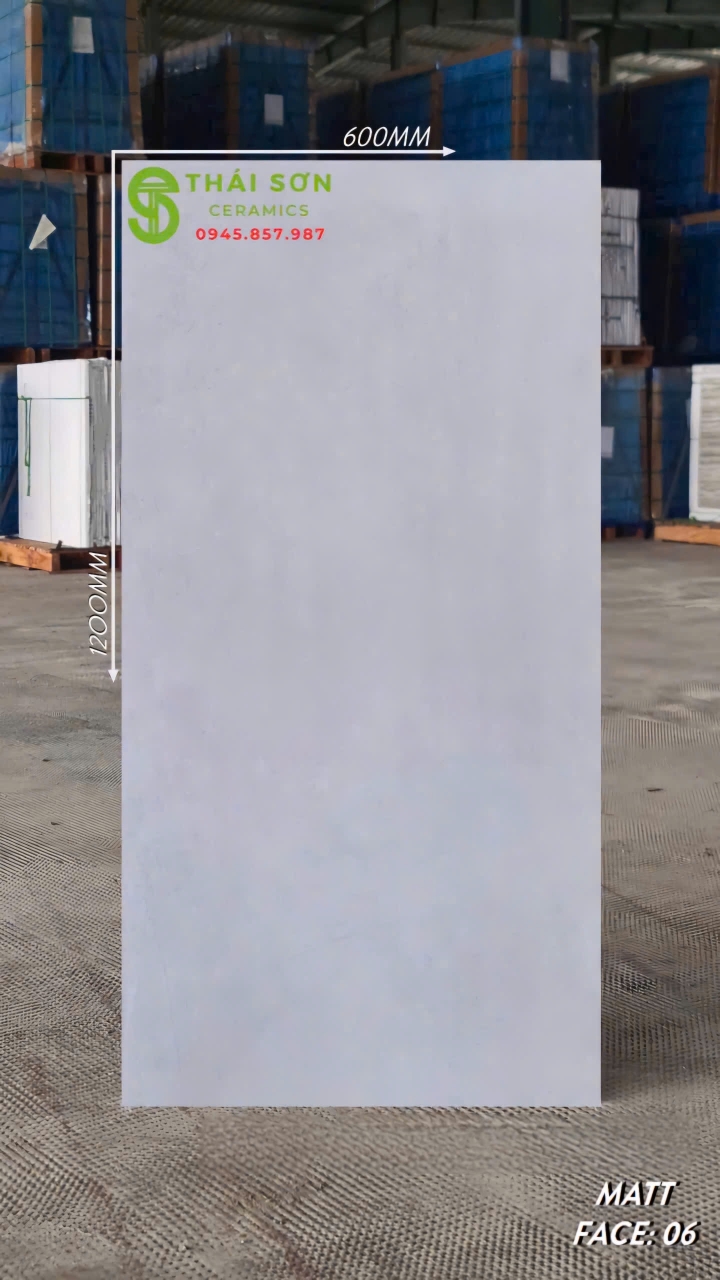 Gạch ấn độ 60x120 lát nền matt mờ màu bê tông cao cấp