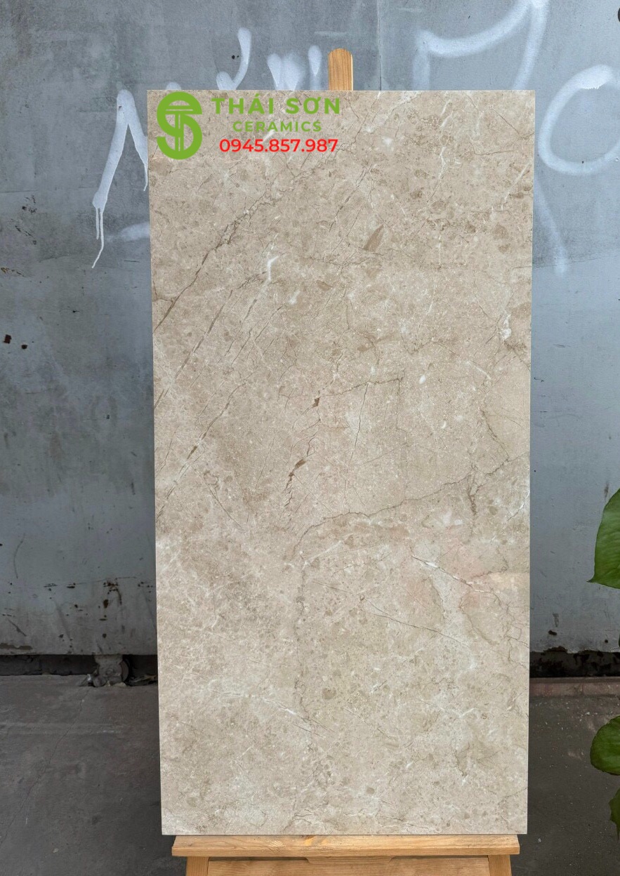 Gạch lát nền 60x120 ấn độ cao cấp Bến Tre