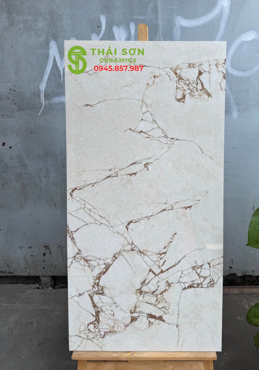 Gạch lát nền 60x120 cao cấp Củ Chi