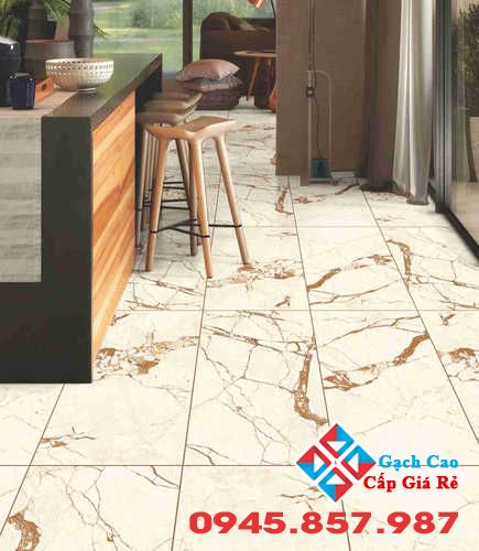 gạch 60x120 ấn độ