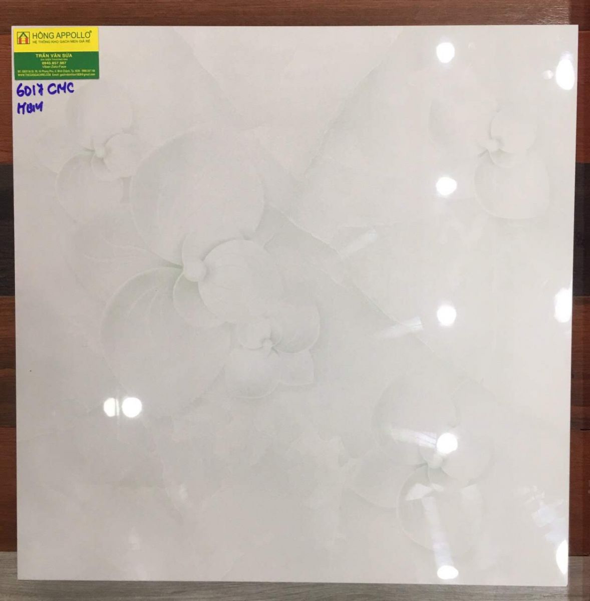 Gạch lát nền 60x60 hoa 5d