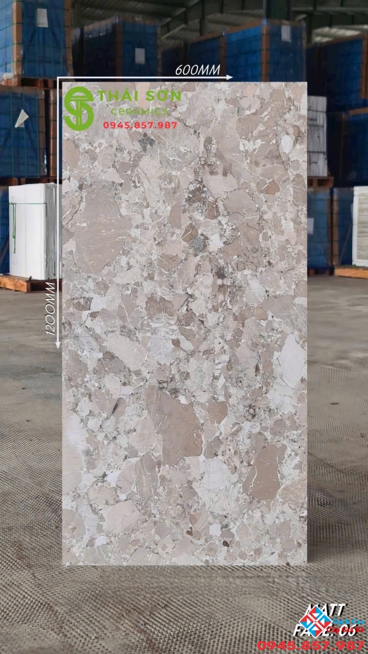 Gạch đá mài vân terrazzo 60x120 matt mờ ấn độ