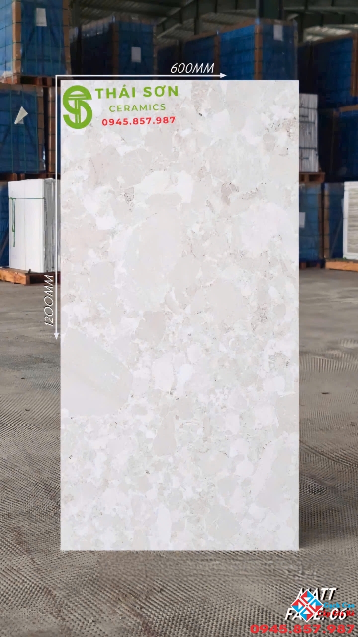 Gạch ấn độ 60x120 lát nền đá mài terrazzo giá rẻ