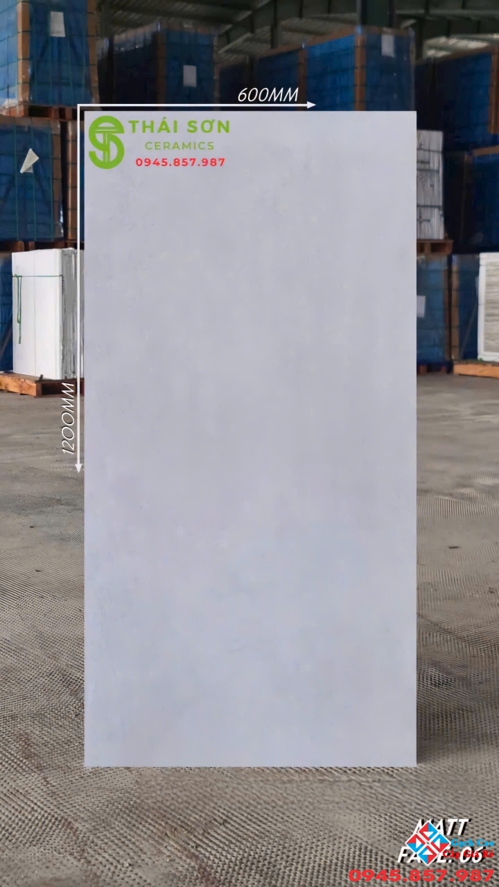 Gạch ấn độ 60x120 lát nền matt mờ màu bê tông cao cấp