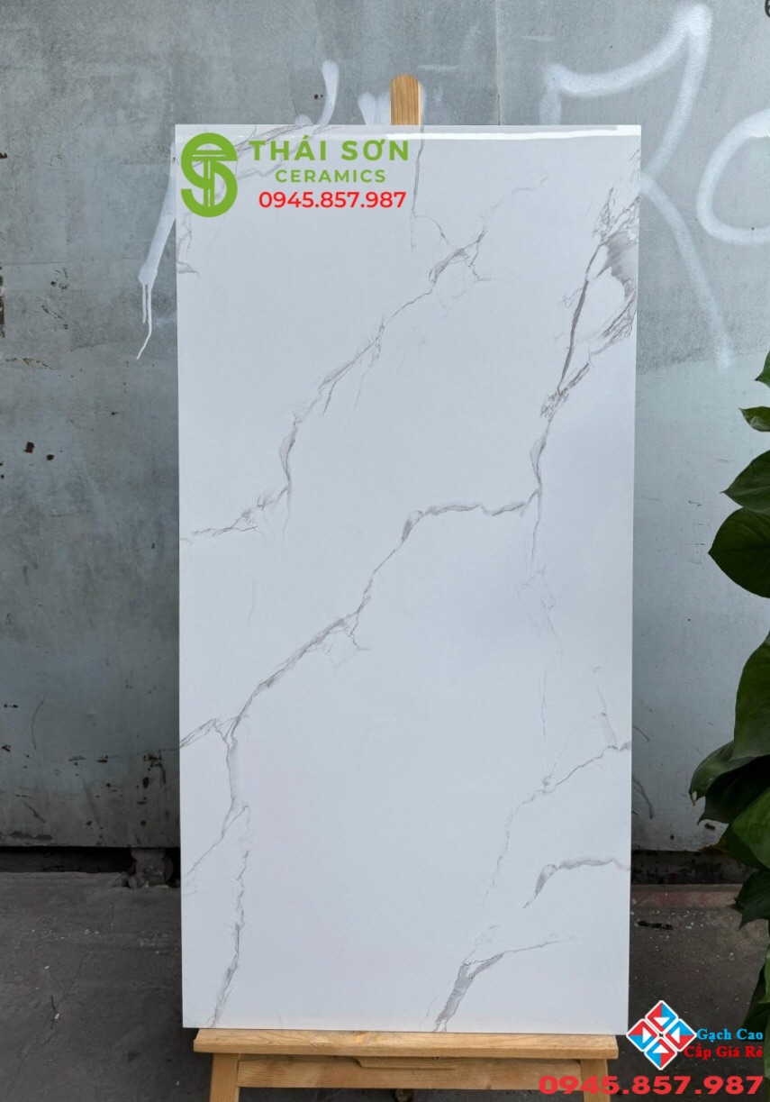 Gạch bóng kiếng 60x120 lót nền ấn độ