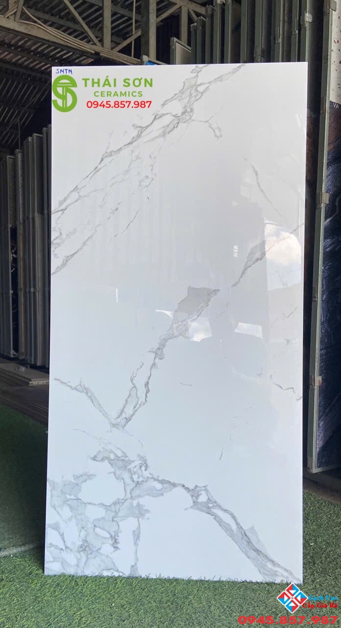 Gạch ấn độ 60x120 lát nền trắng vân đá cao cấp
