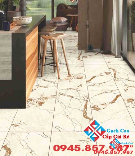 gạch 60x120 ấn độ