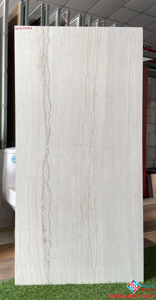 gạch bóng kiếng 60x120 ấn độ vân xọc