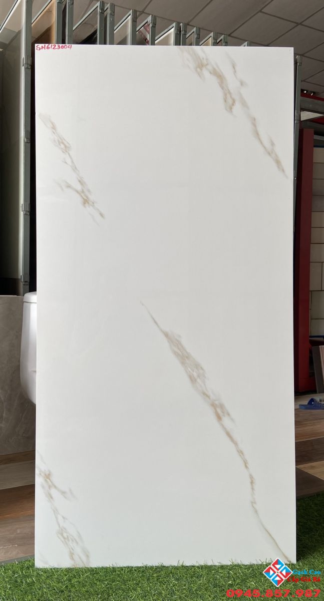 gạch bóng kiếng 60x120 ấn độ