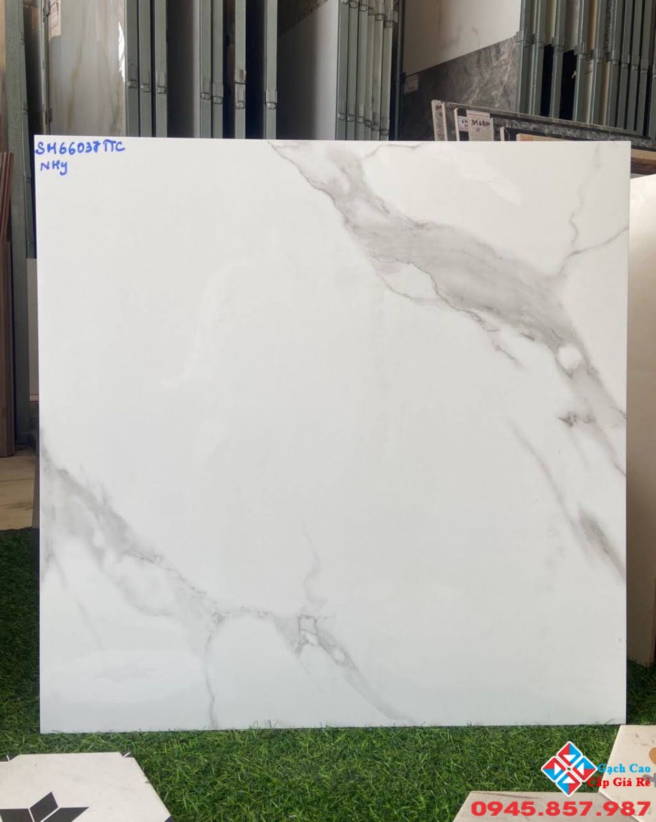 gạch bóng kiếng 60x60 lát nền ttc