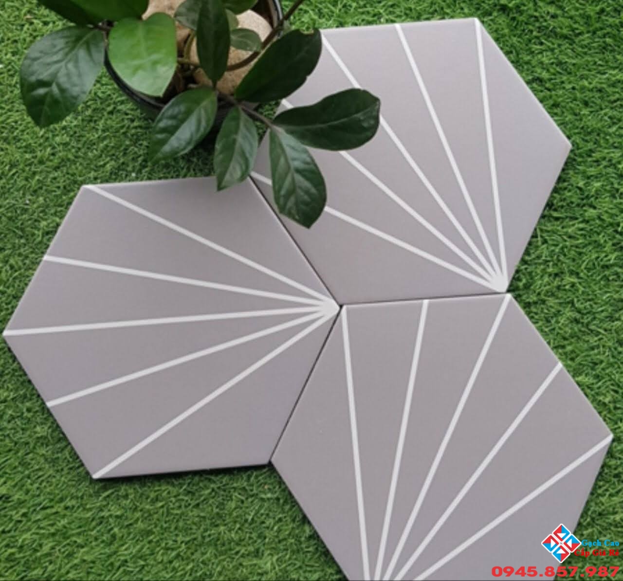 gạch bông lục giác cao cấp