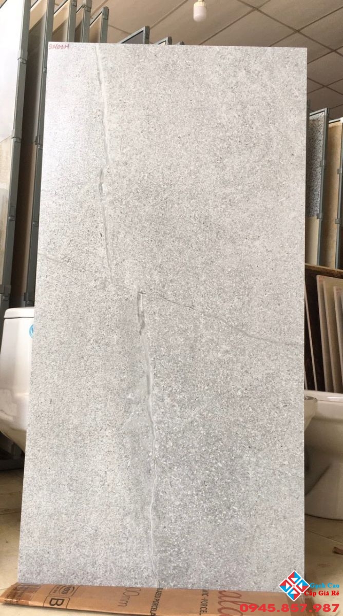 Gạch khổ lớn 60x120 đá mờ 