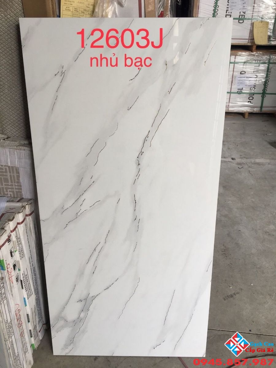 gạch nhập khẩu 60x120 nhũ bạc