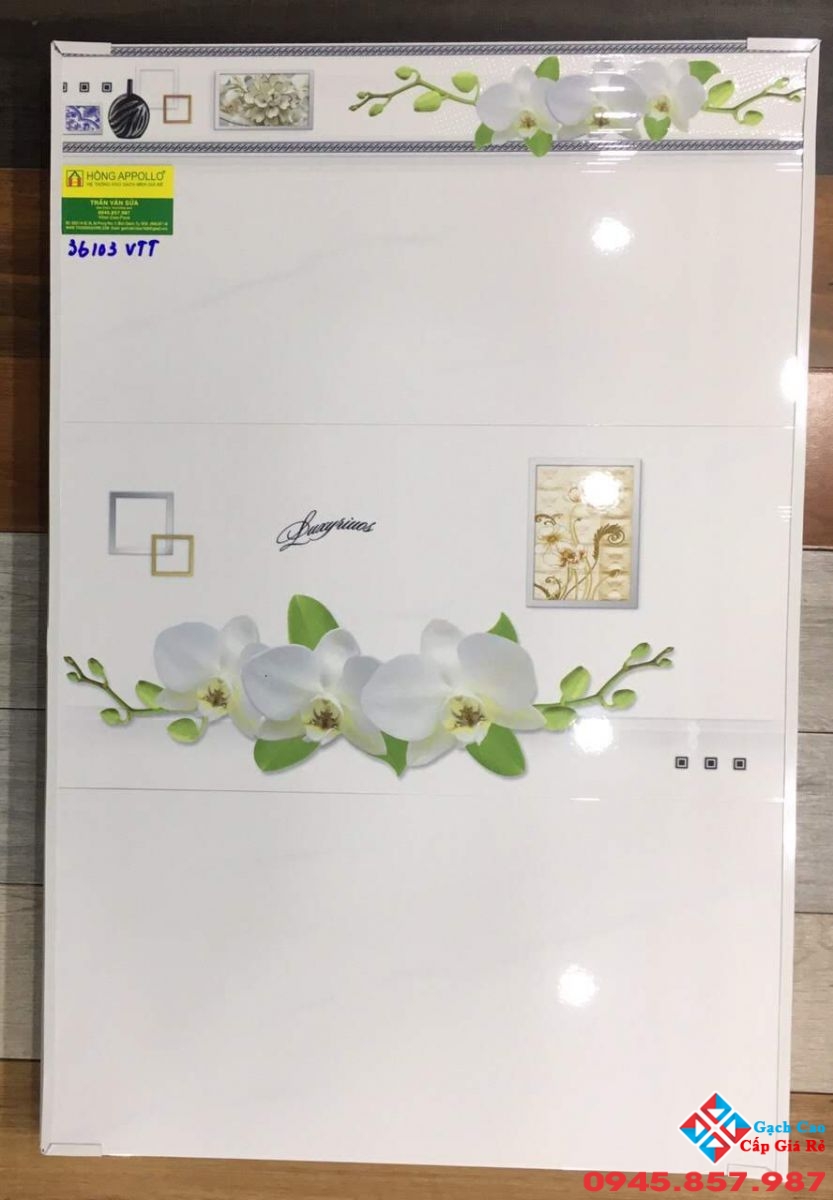 Gạch ốp tường 30x60 hcm