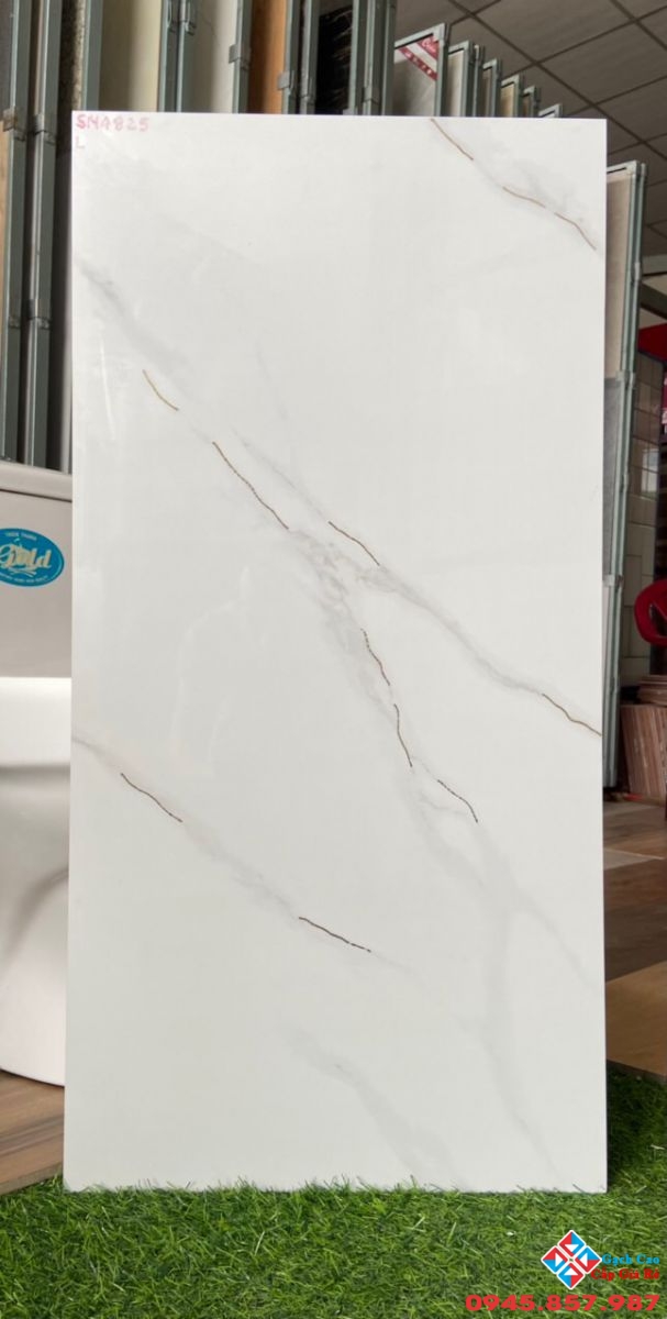 gạch trung quốc 40x80 khắc kim 1