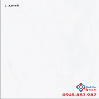 ĐÁ BÓNG KIẾNG 60X60 GIÁ RẺ 09