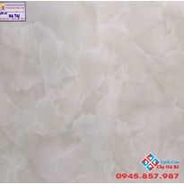 Đá Bóng Kiếng 60X60 PRIMER 9674