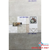 GẠCH ỐP TƯỜNG 30X60 VIGLACERA VG3653