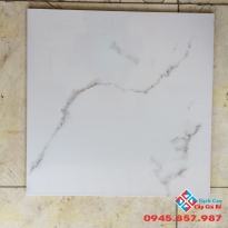 Gạch lát nền 50x50 loại 1 sale giá rẻ hôm nay (03)