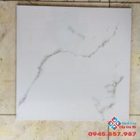 Gạch lát nền 50x50 loại 1 sale giá rẻ hôm nay (03)