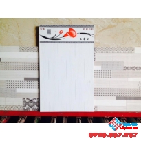 Gạch bông loa kèn đỏ 25x40