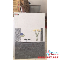 GẠCH ỐP BỘ ĐẸP 30X60