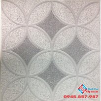 Gạch lát nền 25x25 Roayl giá rẻ nhất