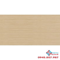 Gạch men mờ hoàng gia 30x60 R366014