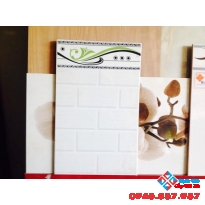 Gạch 25x40 giá rẻ (01)
