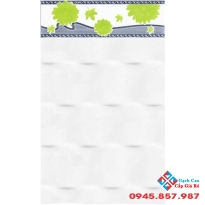 Gạch Thanh Thanh 25x40 25492V