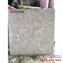 GẠCH BÓNG KIẾNG 1MX1M 107002