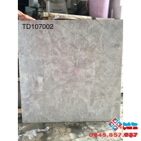 GẠCH BÓNG KIẾNG 1MX1M 107002