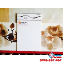 Gạch giá rẻ Viglacera 25x40 Q2573