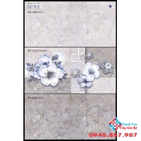 Gạch Ốp Tường 30X60 Viglacera (4)