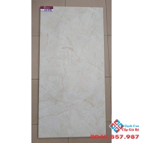 GẠCH BÓNG KIẾNG 60X120 CATALAN 1208
