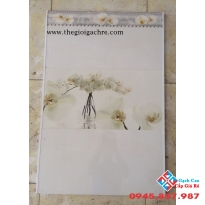Gạch ốp 30x60 giá rẻ nhất bình chánh (02)