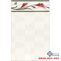 Gạch Thanh Thanh 25x40 2420V