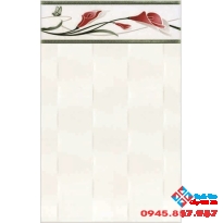 Gạch Thanh Thanh 25x40 2420V