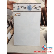 25x40 giá rẻ (07)