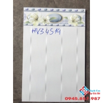 GẠCH ỐP tường 30x45 roayl sale