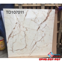 GẠCH BÓNG KIẾNG 1MX1M 107011