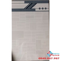 Gạch giá rẻ 25x40 QV 2568