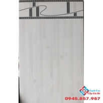 Gạch Viglacera 25x40 QV2559