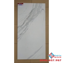 GẠCH BÓNG KIẾNG 60X120 CATALAN 1209