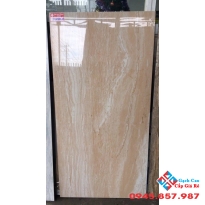 GẠCH BÓNG KIẾNG 60X120 KIS (3)